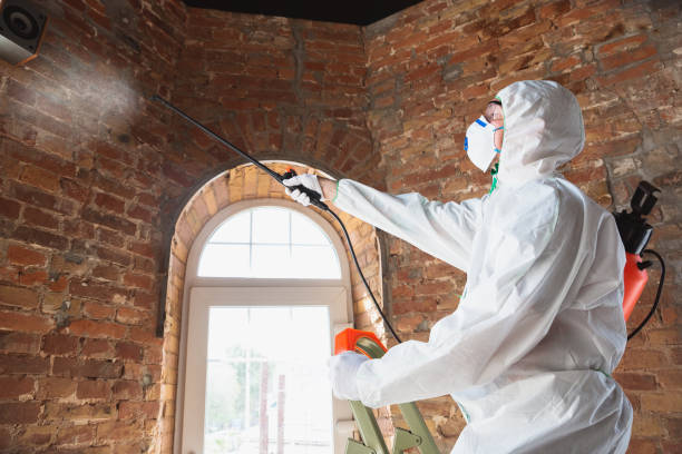 Reliable Janesville, WI Mold Removal Solutions